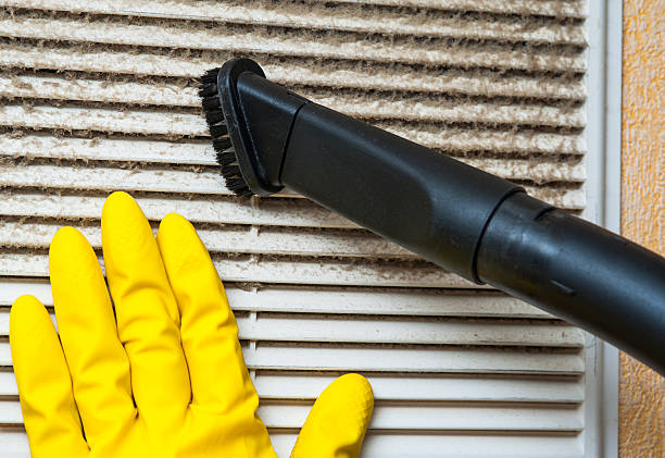 Best Ductwork Odor Removal in La Porte, TX